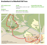 The new forest brockenhurst to rhinefield cycle route